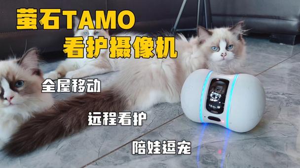 莹石看护图标