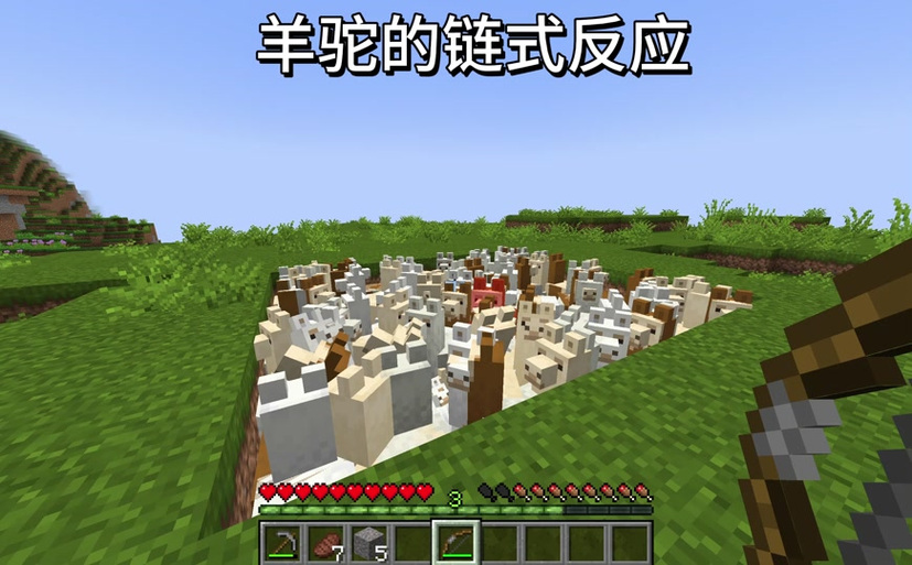 我的世界被羊驼攻击