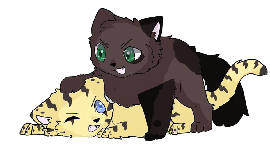 猫武士所有阵亡人员