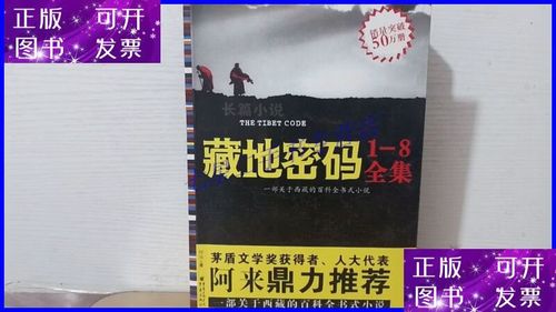 藏地密码8在线阅读全文