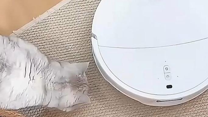 石头扫地机语音命令