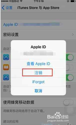 苹果手机连接无线网闪退