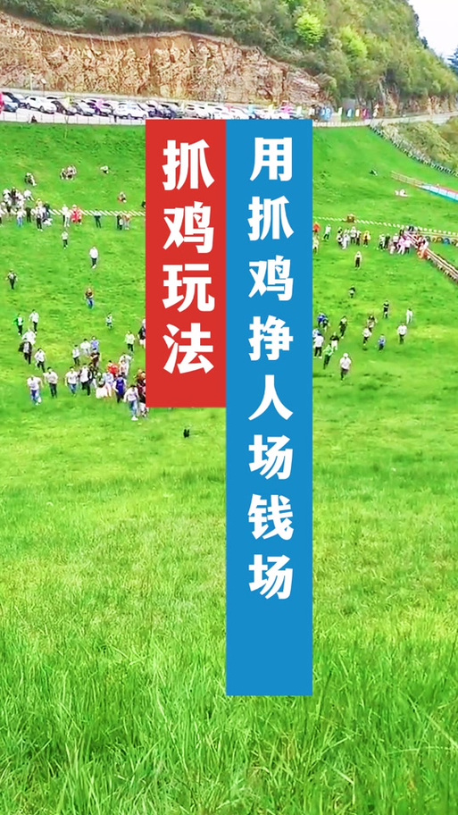 抓鸡活动规则