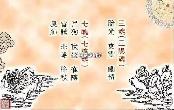 人死后会去哪里投胎截图