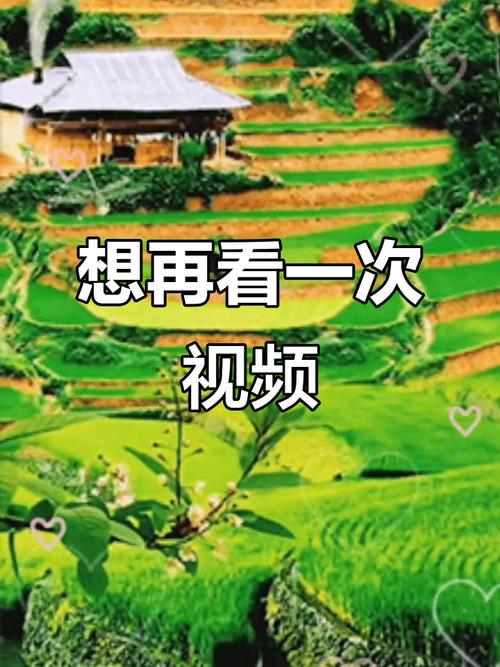 随手拍短视频如何了
