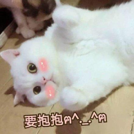 微博抱抱表情是哪个