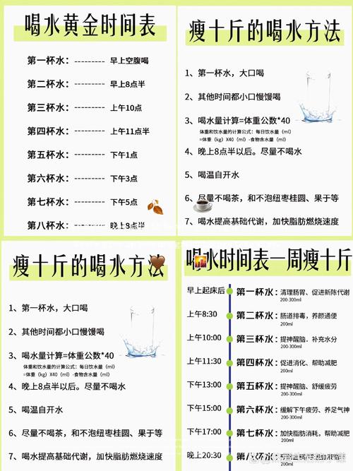 赚钱版喝水日记204缩略图