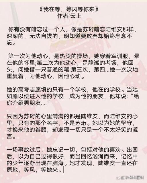 十部顶级耐看小说暗恋