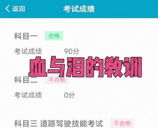 科目二难吗截图
