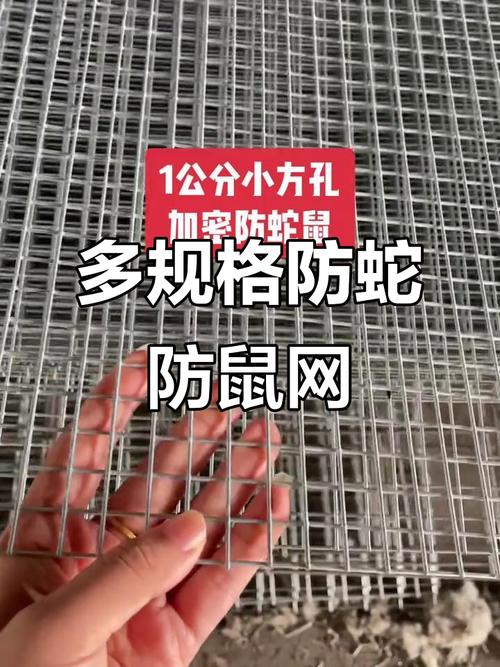 田鼠网怎么样