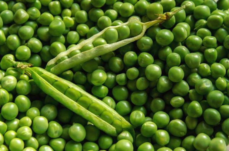 pea和bean的区别