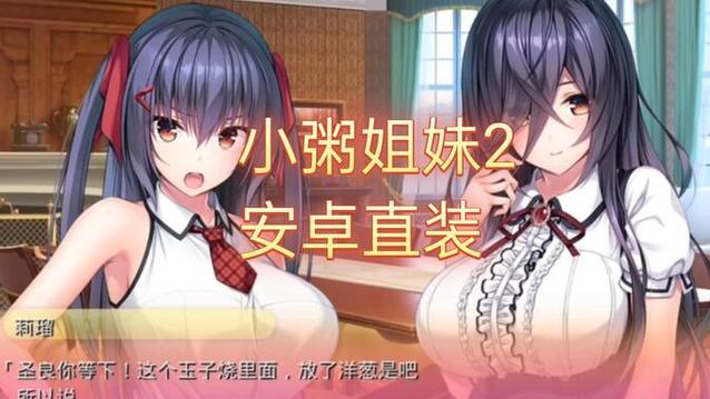小粥粘膜姐妹游戏汉化