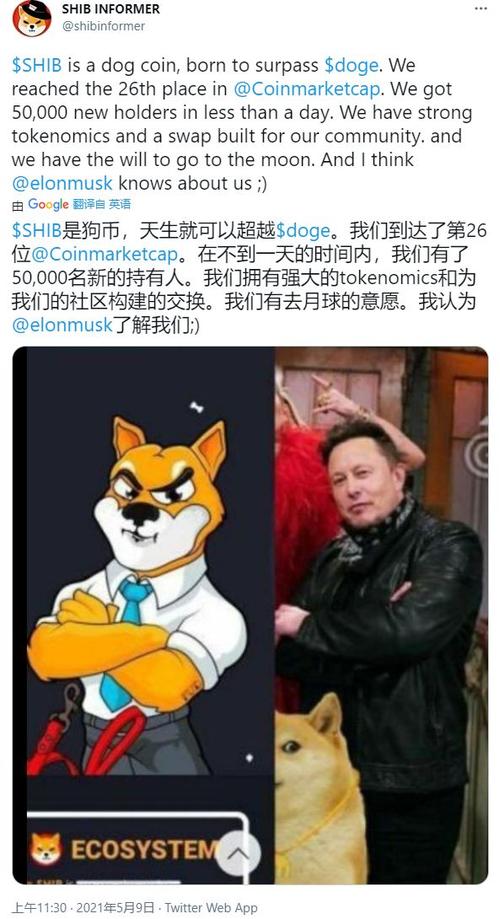 马斯克与shib的关联