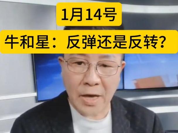 牛和星最新股评