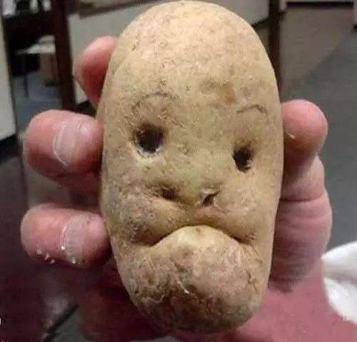 瓜怂是什么意思缩略图