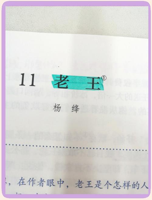 许小柔和老王全部章节