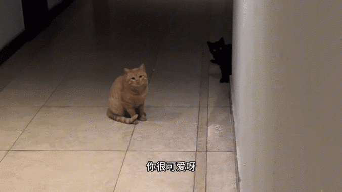 邻居摔门天天吓我一跳
