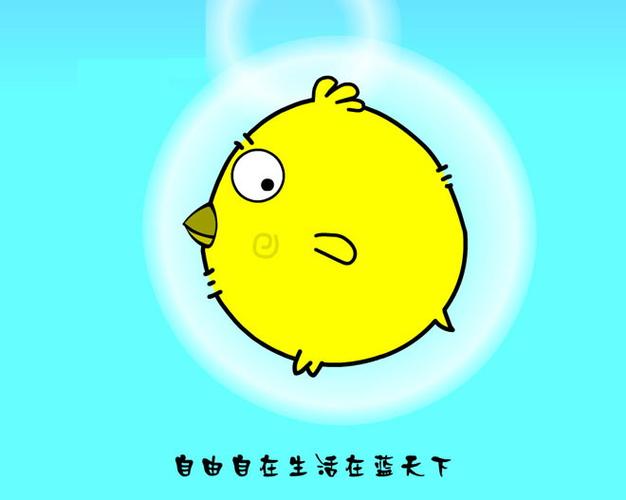 小鸡之歌歌曲