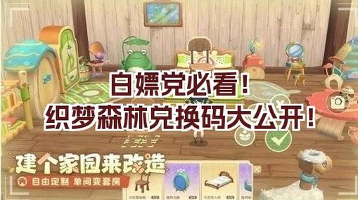 你的家园兑换码