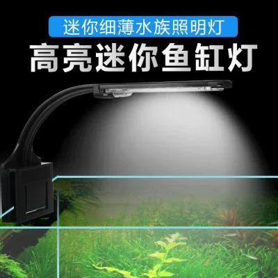 鱼缸水草灯
