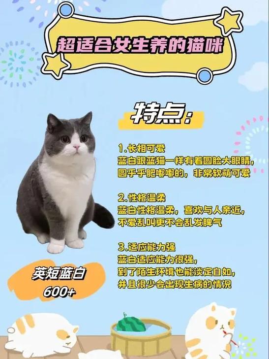 蓝白猫好养吗