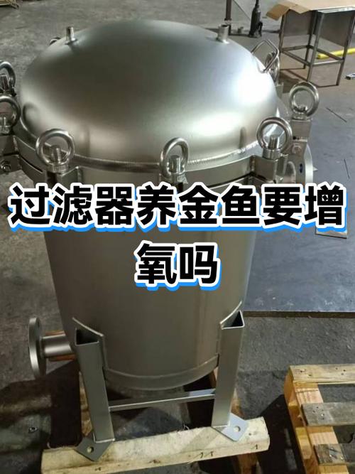 养金鱼需要过滤器吗