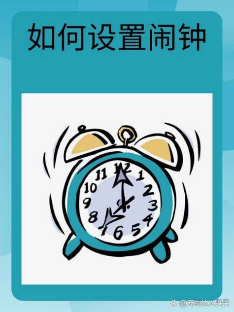 设定闹钟截图