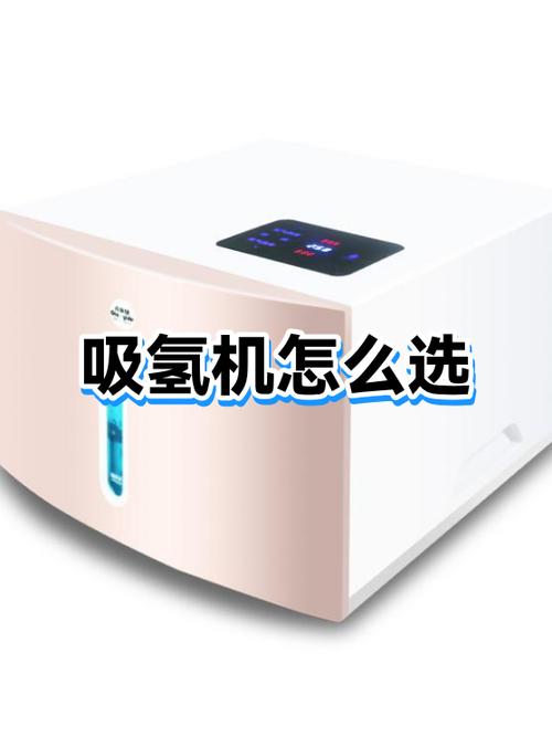 最好的吸氢机是什么品牌