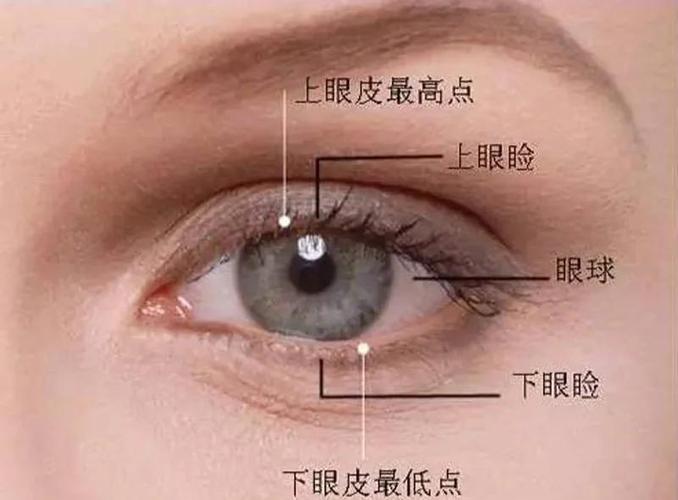 催眠为什么眼皮一直在跳截图