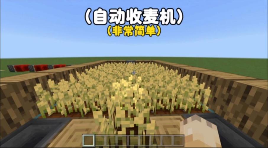 我的世界自动流麦机