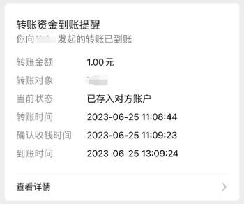 别人给我延迟转账我能查到吗截图