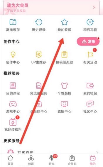 哔哩哔哩隐私设置截图