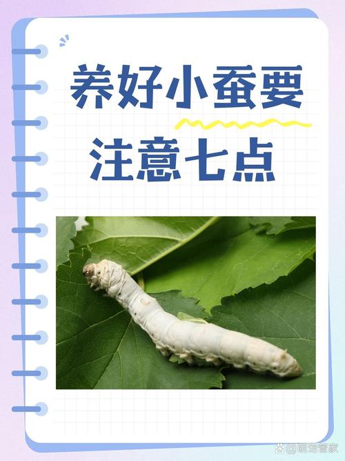 蚕养久了会认主人吗截图