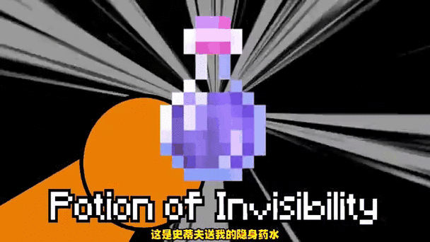 我的世界无粒子效果隐身