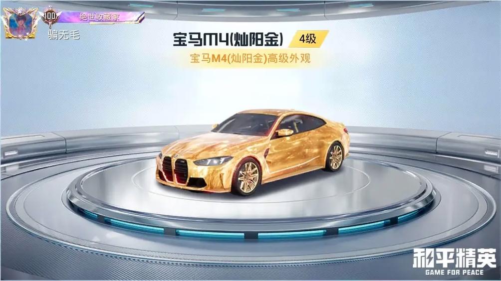 和平精英豪车截图