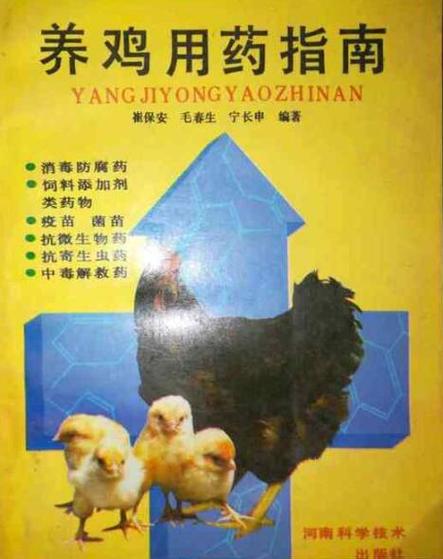 生姜红糖水喂鸡图标