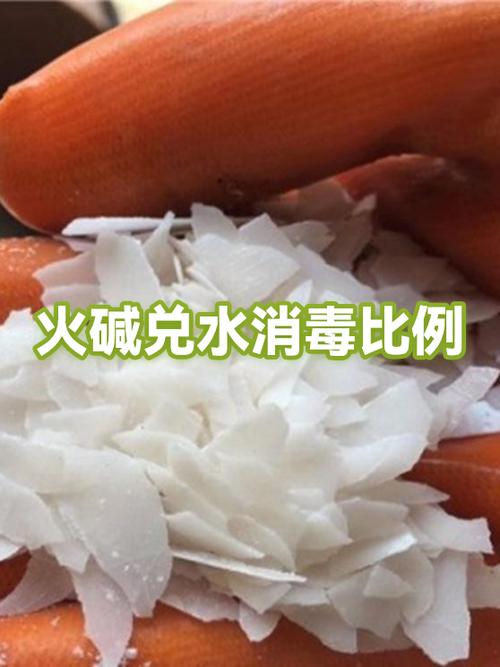 火碱消毒的兑水比例