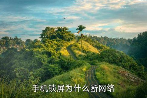 手机锁屏会断网怎么回事