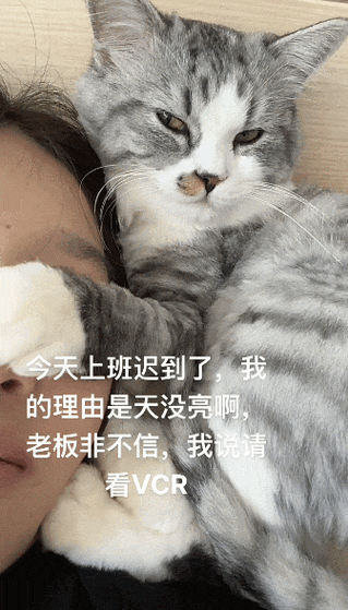 上班迟到的100个理由