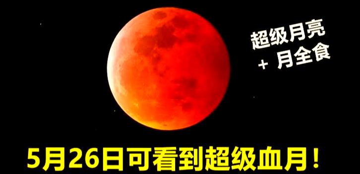 看见血月的人好不好截图