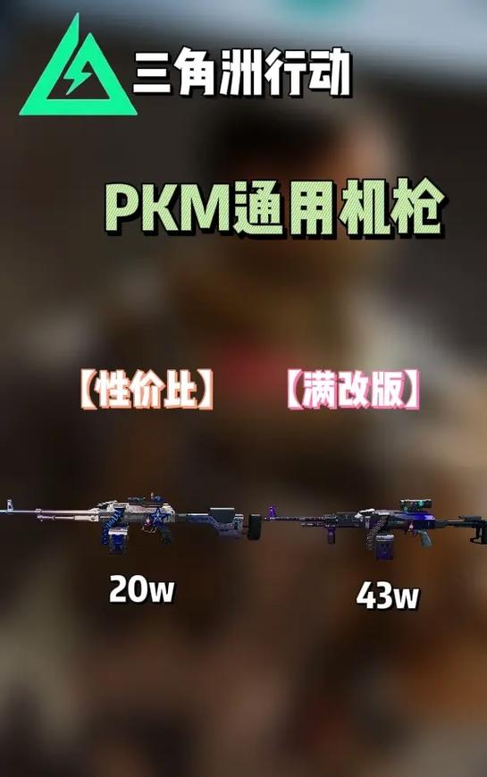 枪版是什么意思?
