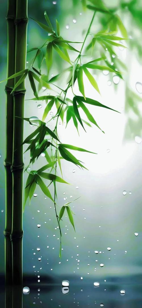 手机屏幕哪种护眼