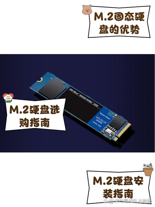 进pe找不到m2固态缩略图