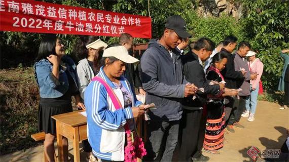 果实分红