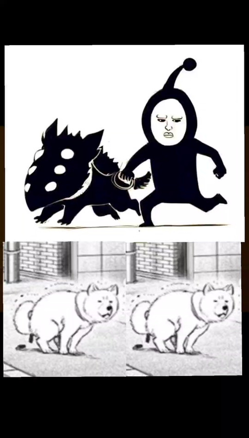 小狗波奇