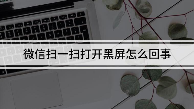 手机扫一扫黑屏截图
