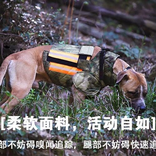 猎狗护甲定量尺寸图片
