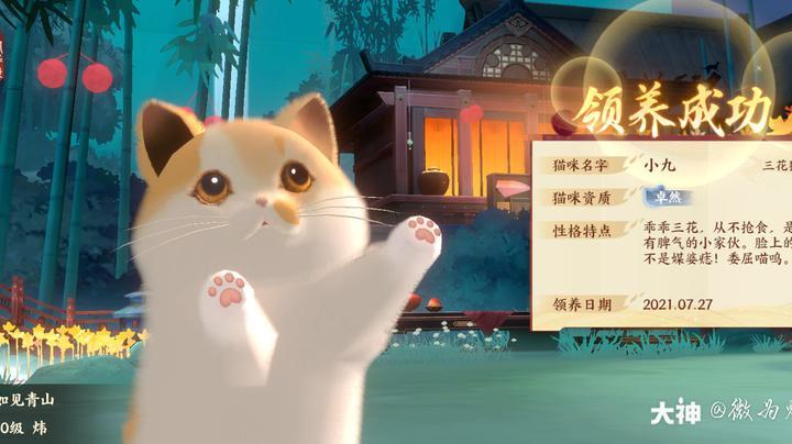 小九手游