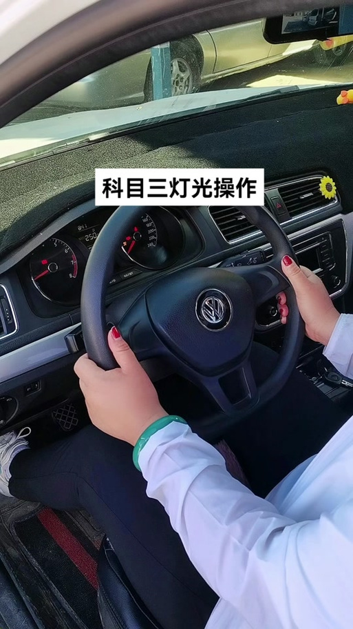 科三模拟截图