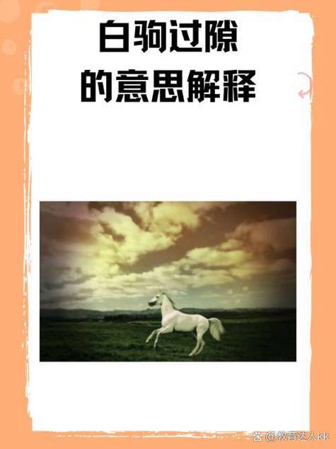 视角比喻是什么意思缩略图
